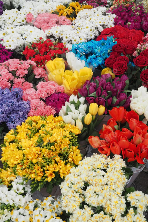 Preview: flower shop in istanbul, flower display for selling at street shop ,