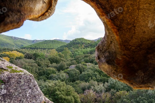 Preview: Landscape of a forest seen from inside a cave