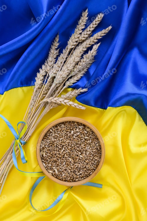 Preview: Fabric wave flag of Ukraine with wheat spikes. Blue and yellow bright colors