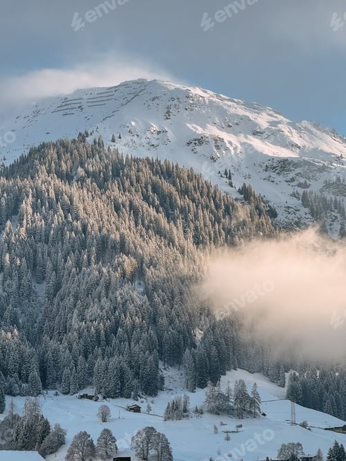 Preview: Snowy mountain peaks rising above a frosty forest in winter