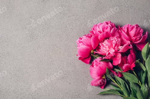 Preview: Bunch of peonies.