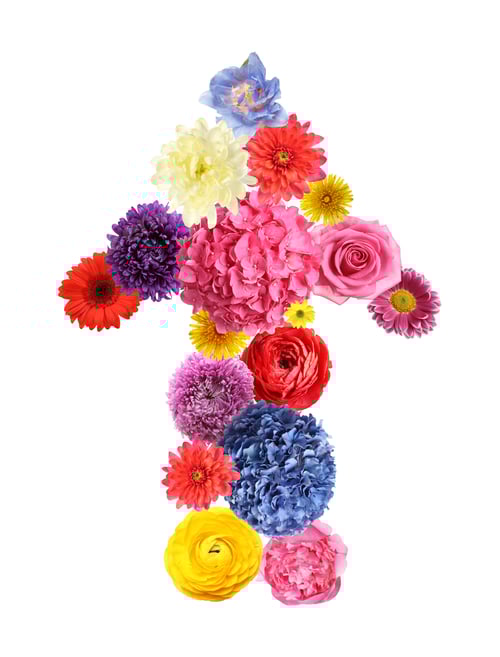 Preview: Arrow made of fresh colorful flowers on white background