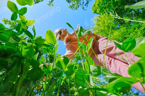 Preview: Yound woman walking on tall grass