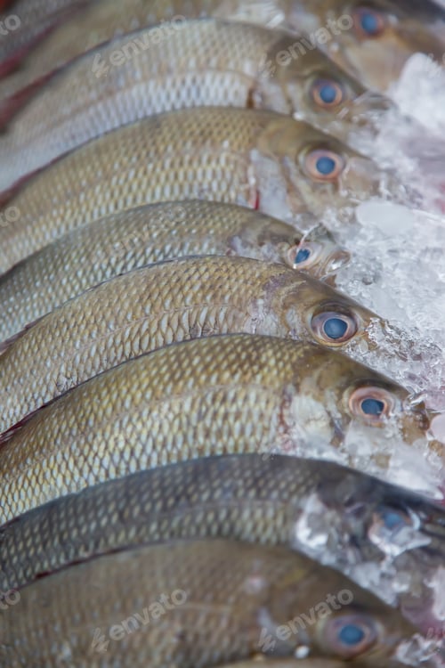 Preview: Fresh seafood
