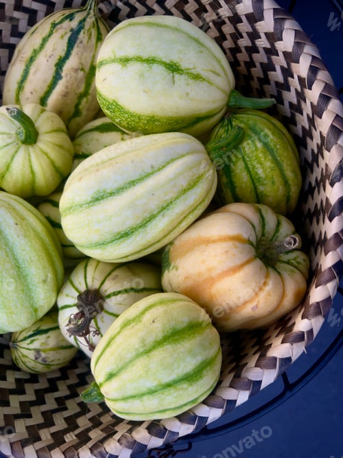 Preview: Basket of green and orange squash