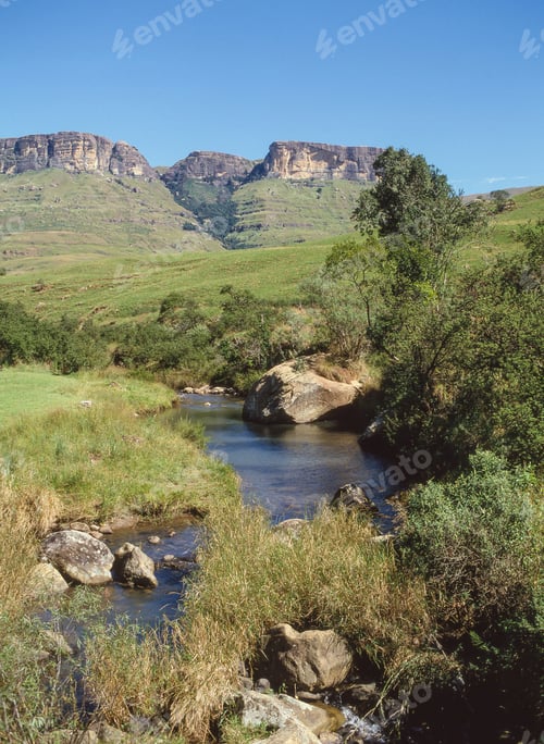 Preview: A Rock Pool in Royal Natal National Park