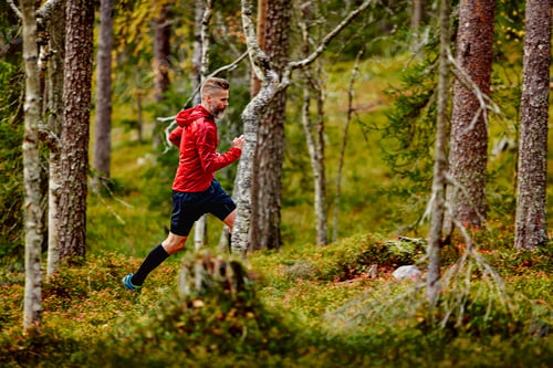 Preview: Man jogging through a lush forest trail.