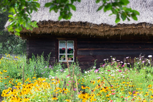 Preview: Old wooden house with flower garden