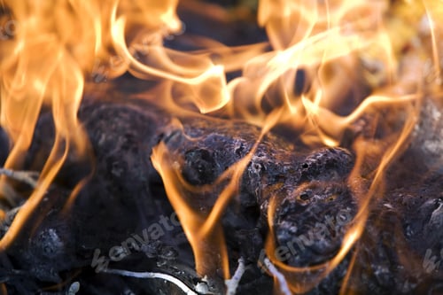 Preview: Close-up shot of a burning wood and ashes in the campfire - vibes of cozy and friendly atmosphere