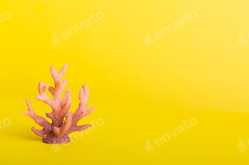 Preview: Summer time concept with sea shells or starfish on a table background with copy space for text