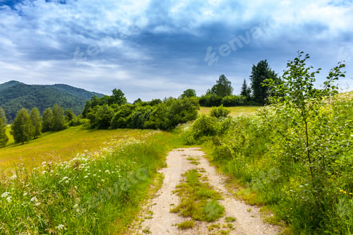 Preview: Landscape in Bieszczady Mountains.