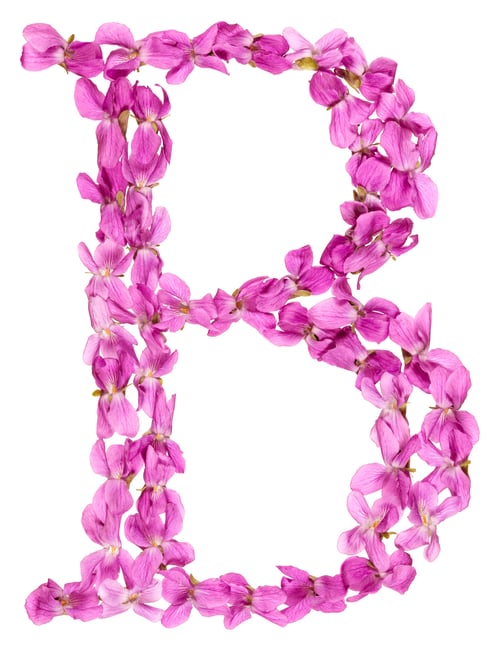 Preview: Letter B from alphabet, from flowers of violet, isolated on white background