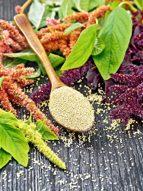 Preview: Amaranth Seeds and Flowers on a Wood Table