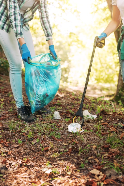 Preview: Cleanup volunteers collecting waste in the forest