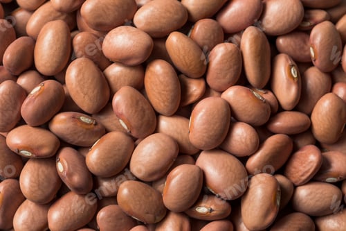 Preview: Raw Organic Dry Pink Beans