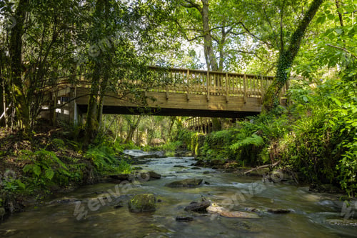 Preview: Wooden footbridge in Stanislaus fountain park
