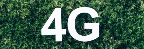 Preview: Inscription 4G on moss, green grass background. Top view. Copy space. Banner. Biophilia concept