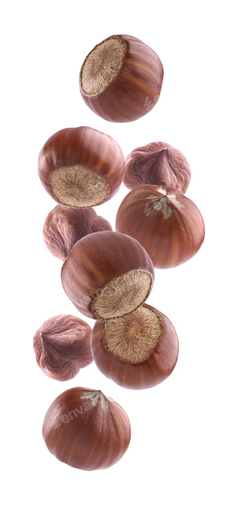 Preview: Falling hazelnuts in closeup on white background