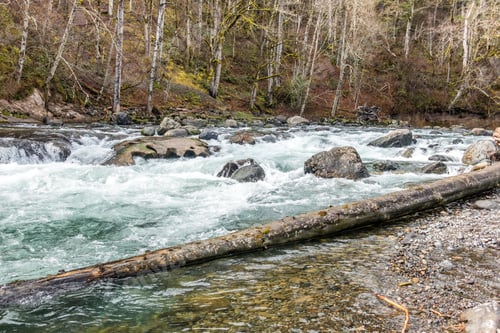 Preview: Water Flows Over Rocks To Create Whitewater In The Green River In Washington State.
