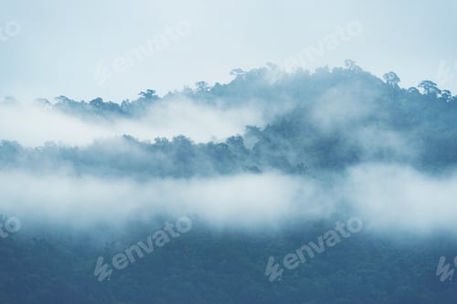 Preview: landscape view of forest in Thailand, tropical forest