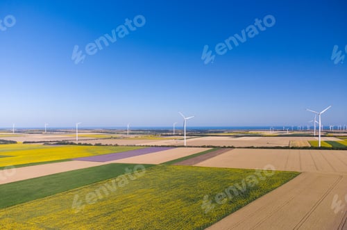 Preview: Aerial view of wind turbines and agriculture field near the sea at sunset
