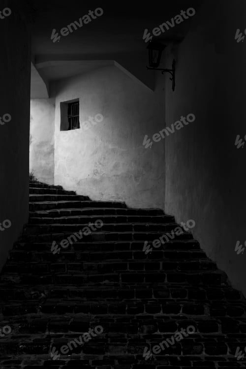 Preview: Find the light