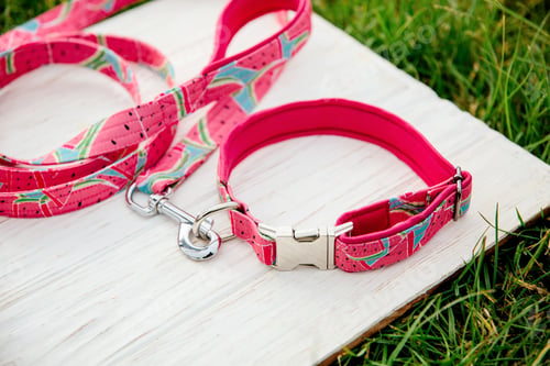 Preview: Dog Collar and Leash set. Pet Supplies and Walking Gear Collection