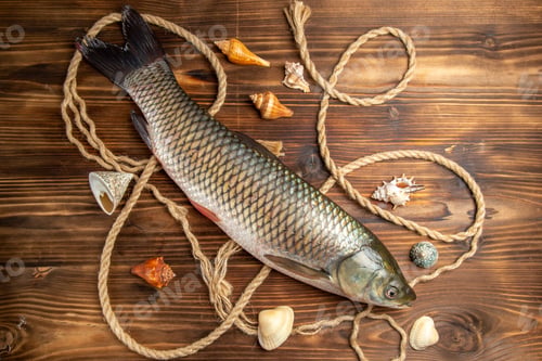 Preview: top view fresh fish with ropes on wooden desk food seafood dish ocean raw