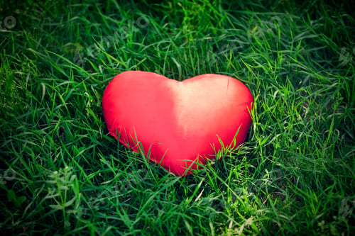 Preview: closeup of a red heart on the grass