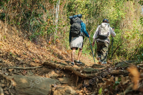 Preview: Hiker couple walk through vibrant forest path young people enjoy autumn nature travel adventure