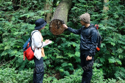 Preview: Researchers in Forest