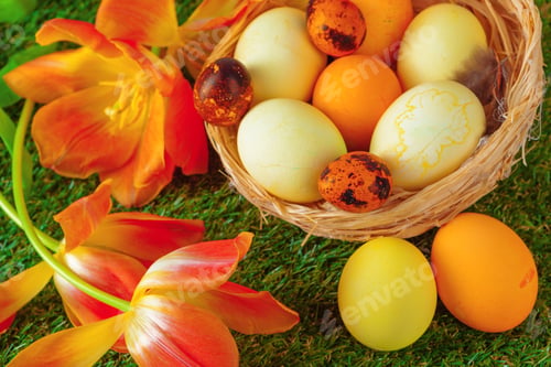 Preview: Easter Eggs with flower on Green Grass
