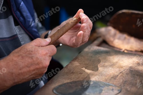 Preview: Close up of hands making cigars. Process of making traditional cigars from tobacco leaves