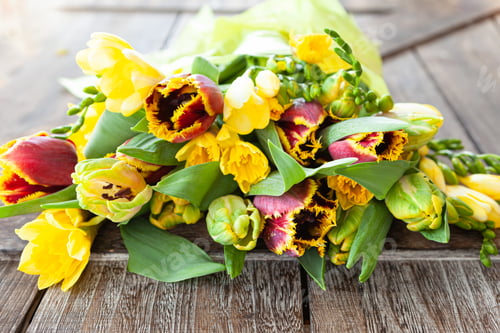 Preview: Yellow spring flowers