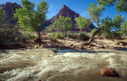 Preview: River & The Watchman, Zion National Park, Utah