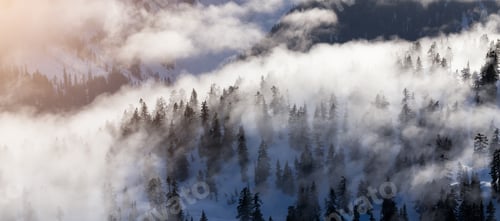 Preview: Green Trees on top of Canadian Mountain Landscape covered in Clouds.