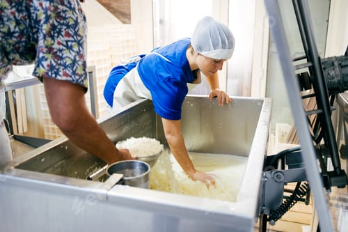 Preview: Professional workers straining cheese at factory