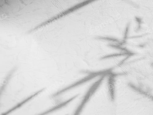 Preview: Bamboo Leaf Shadow on White Textured Background