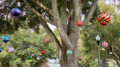 Preview: Holiday Ornaments Hanging from Trees in Suburban Setting