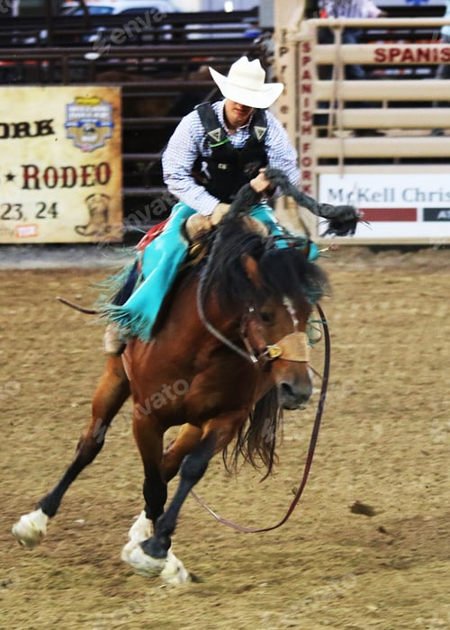 Preview: Vertical image of steer roping cowboy on horse at rodeo event.