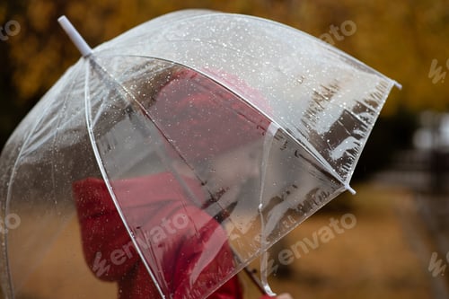 Preview: A beautiful young girl walks in the rain with a transparent umbrella. Autumn. Atmosphere. Weather.