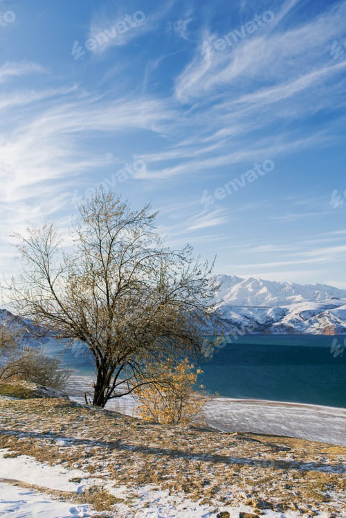 Preview: Amazing beautiful winter landscape of Charvak reservoir in Uzbekistan in winter