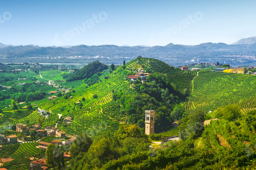 Preview: Prosecco Hills, vineyards panorama. Unesco Site. Valdobbiadene, Veneto, Italy