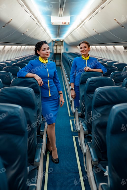 Preview: Female flight attendants standing in aircraft passenger cabin