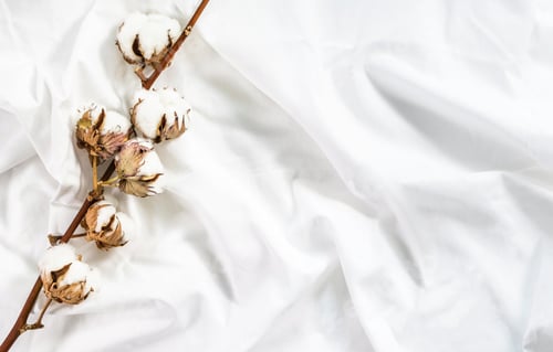 Preview: Cotton branch of plant flower on crumpled cotton white fabric. Cotton bed linen. Minimalistic cozy l