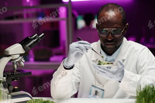 Preview: Scientist Attentively Examining Petri Dish with Plant Sample