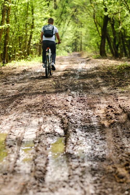 Preview: A group of cyclists with backpacks ride bicycles on a forest road enjoying nature