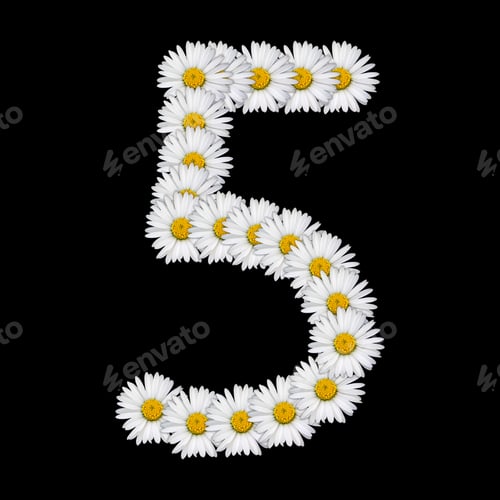 Preview: Flower number