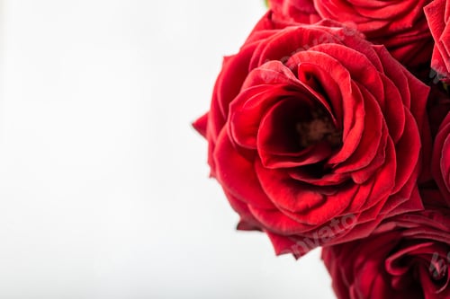 Preview: Beautiful bouquet of red roses, love and romance concept