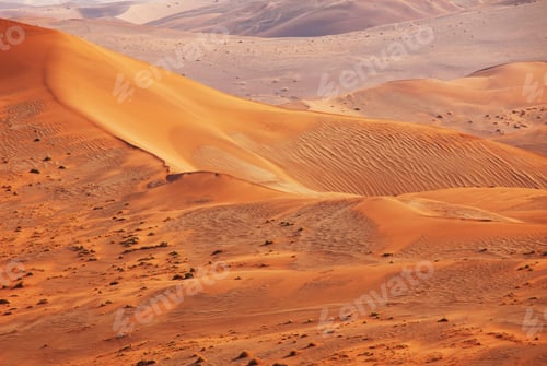 Preview: Sand desert in Namib